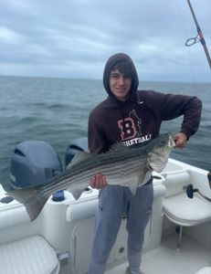 Striped bass caught during fishing tour in East Dennis