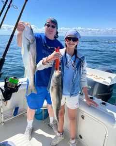 Two striped bass caught during fishing tour in East Dennis
