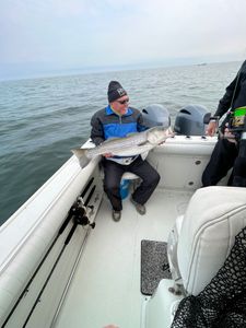Striped bass caught on fishing tour in East Dennis
