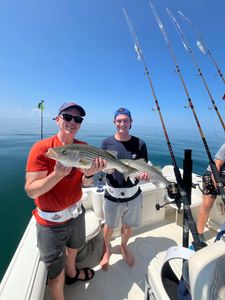 Striped bass caught during fishing tour in East Dennis