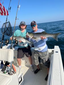 Two striped bass caught during a fishing tour in East Dennis