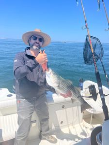 Striped bass caught during fishing tour in East Dennis