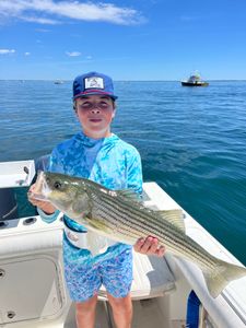 Striped bass caught during fishing tour in East Dennis