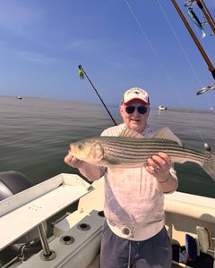 Striped bass caught during fishing tour in East Dennis