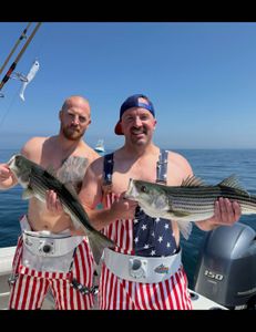 Two striped bass caught during fishing tour in MA