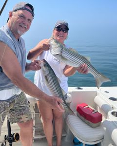 Two striped bass, 14 inches each, caught in MA
