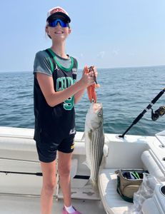 Striped bass caught by angler in MA