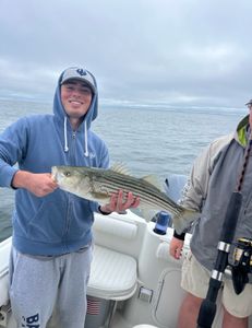 Striped bass fishing in MA