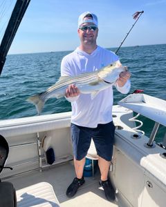 Striped bass caught during fishing tour in MA