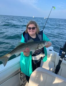 Striped bass caught during fishing tour in MA
