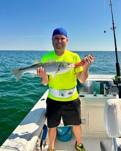 Striped bass caught on fishing tour in MA