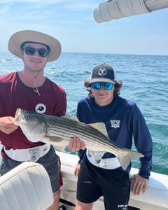 Striped bass caught on fishing tour in MA