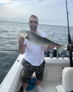 Striped bass caught during fishing tour in MA