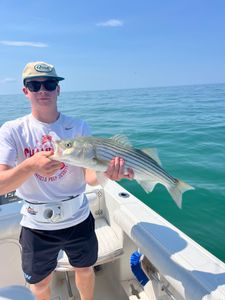 Striped bass caught during fishing tour in MA