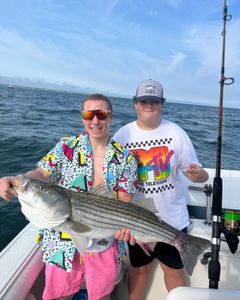 Striped bass caught during fishing tour in MA
