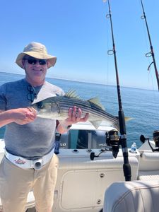 Striped bass caught on fishing tour in MA