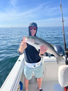 Striped bass caught on fishing tour in MA