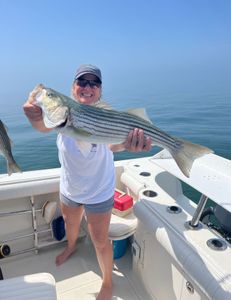 Striped Bass caught on fishing tour in MA