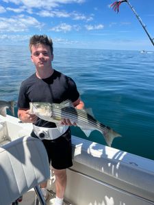 Striped bass caught on fishing tour in MA