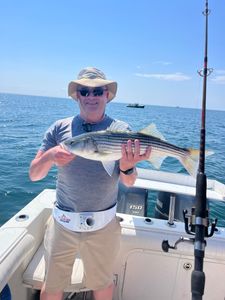 Striped Bass caught in MA