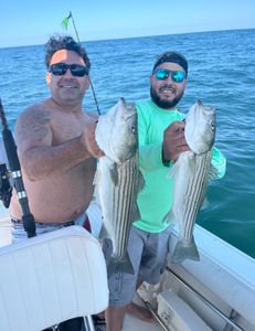 Two striped bass caught during fishing tour in MA