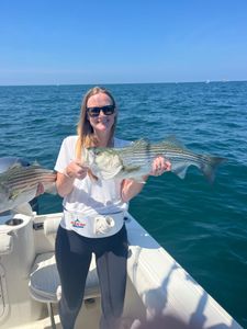 Striped bass caught on fishing tour in MA