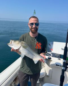 Striped bass caught on fishing tours in East Dennis