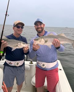 Two striped bass caught during fishing tours in East Dennis