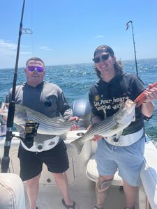 Two striped bass, 22 inches long, caught while fishing in East Dennis