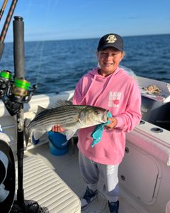 Image of a 16-inch white bass caught while fishing in MA