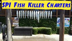 Spotted Weakfish caught while fishing at South Padre Island