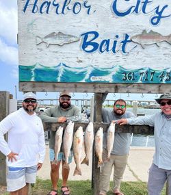 Eight fish caught by four people fishing in Aransas Pass