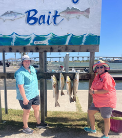 6 fish caught in TX
