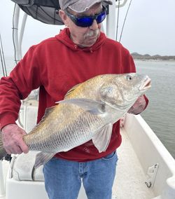 A fisherman with a black drum catch in Aransas Pass