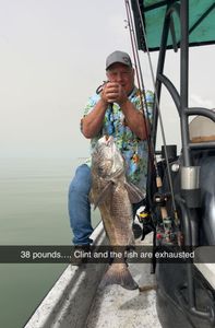 Black Drum fish in TX