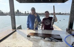 Four black drum and spotted weakfish caught in Aransas Pass