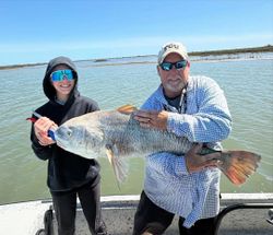 Freshwater drum fish caught in Aransas Pass