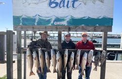 9 sauger and redfish caught while fishing in aransas pass