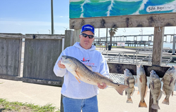 Redfish and black drum caught fishing in Aransas Pass