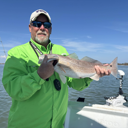 Redfish caught fishing in TX