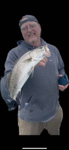 Bluefish caught while fishing in Brunswick