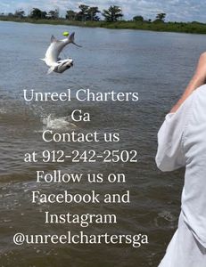 Bonnethead shark fishing in Brunswick