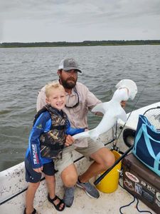 Bonnethead shark, 16 inches, fishing in GA
