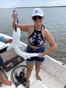 Bonnethead shark caught while fishing in GA