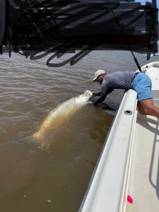 One fisherman holding a fishing rod in Brunswick