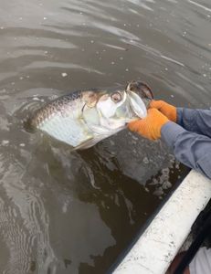 A fishing trip in GA
