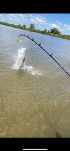 Fishing in Georgia