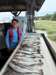 2 big fish caught while fishing in Brunswick