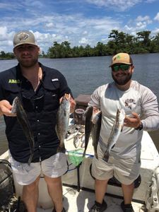 Four great fish caught on a fishing trip in GA