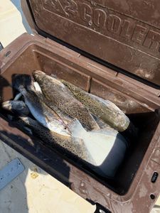 Two fishing rods with a backdrop of the state of GA